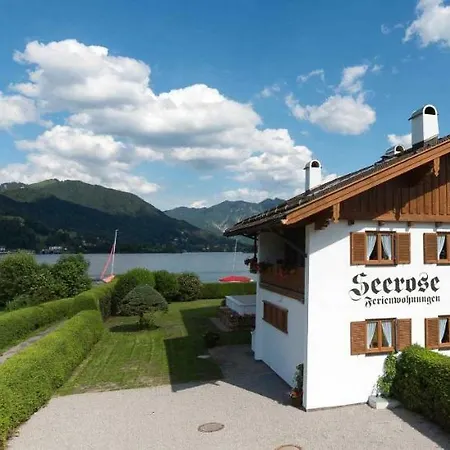 Seerose Am